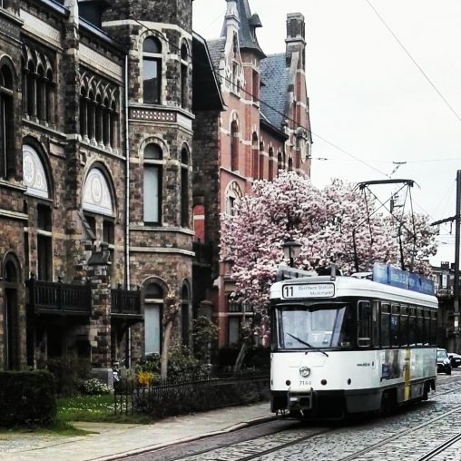 Cogels Osy lei, tram 11 Antwerpen