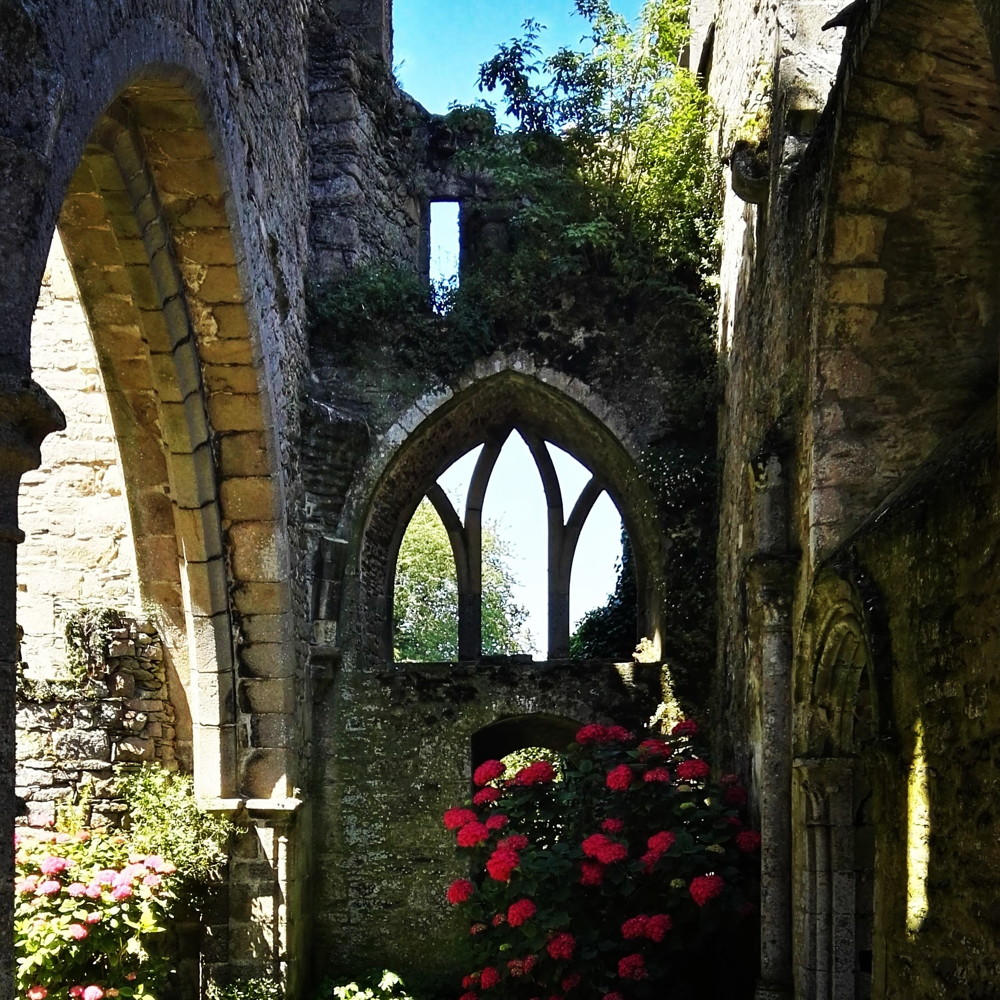 abbaye de beauport Paimpol Bretagne